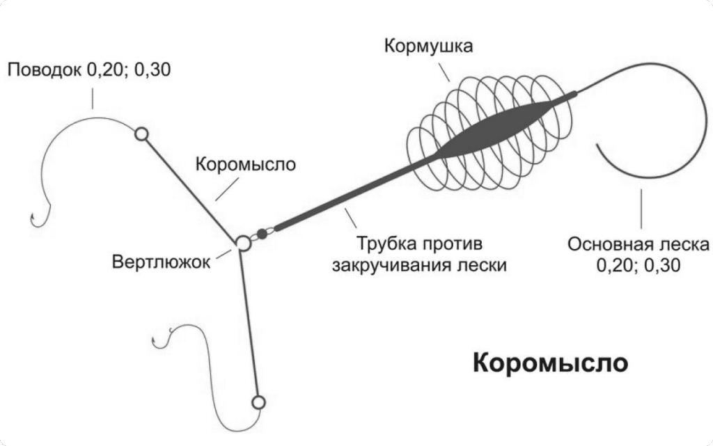 donka-rezinka-1024x641 Ловля леща для начинающих: полное руководство