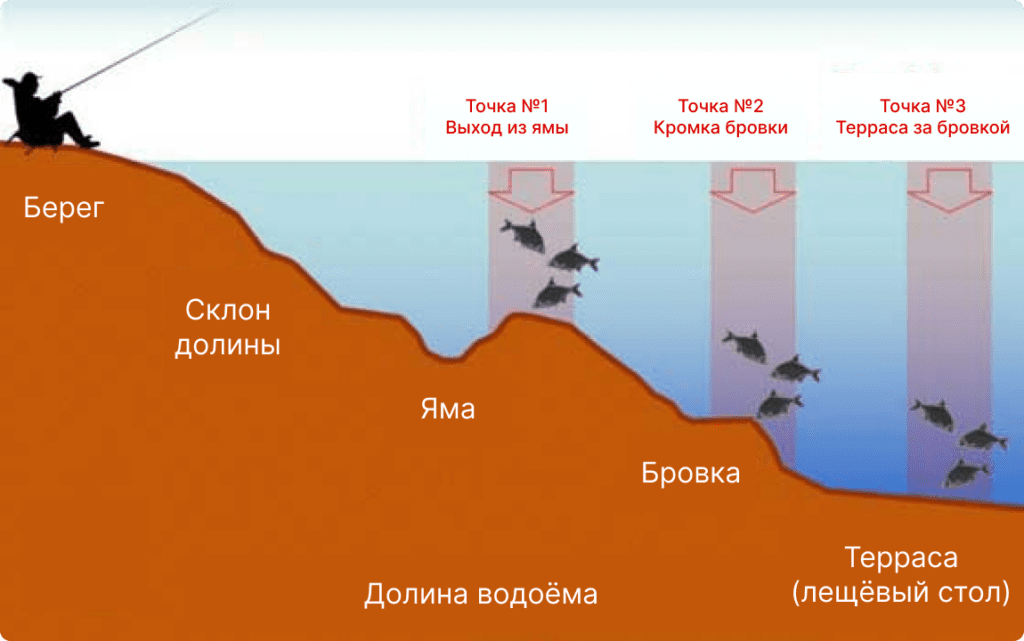 gde-iskat-leshha-—-perspektivnye-mesta-1024x641 Ловля леща для начинающих: полное руководство